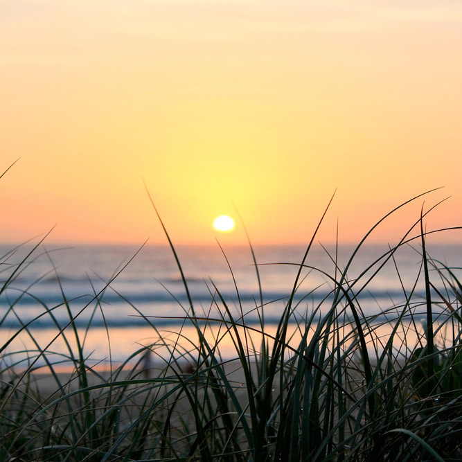 Sunset over the ocean with tall grass in front, orange sky and waves—peaceful view like those near a Mortgage Broker Gold Coast.