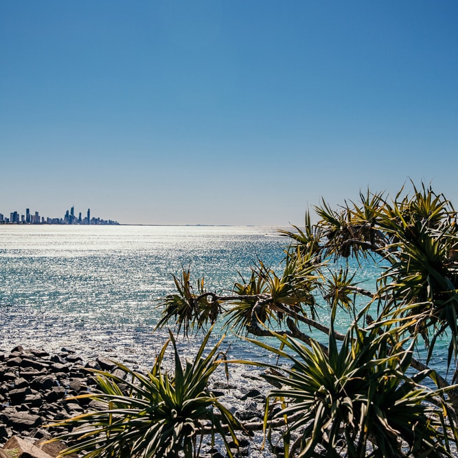 Sparkling blue ocean, rocky shore, tropical plants, and distant Gold Coast skyline under clear sky—perfect for Mortgage Broker Gold Coast.