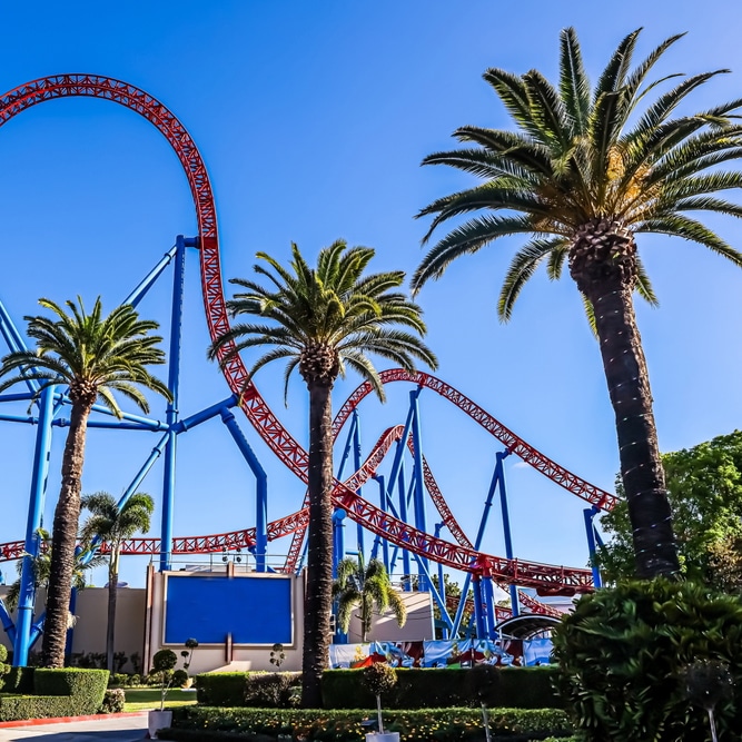 A red and blue rollercoaster winds through palm trees at a Gold Coast amusement park near Mortgage Broker Gold Coast.